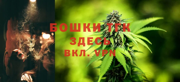 ECSTASY Михайловск